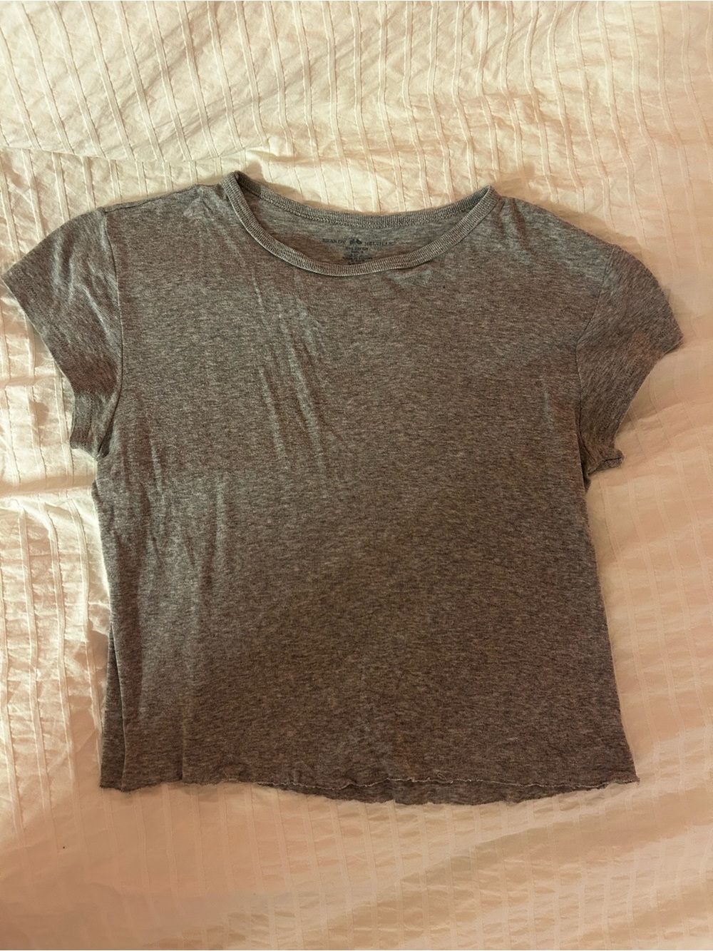 Brandy Melville Grey Cropped Tee